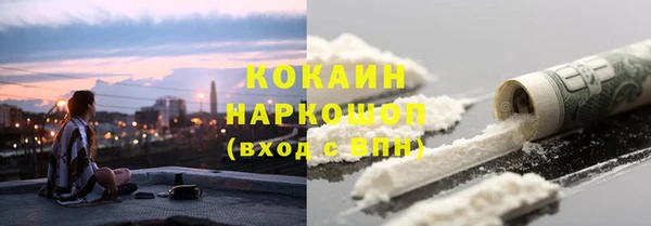 соль ск Абаза