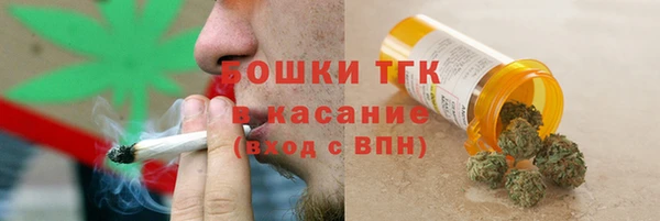 соль ск Алексин