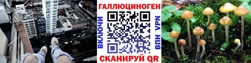 Галлюциногенные грибы ЛСД  Подольск 